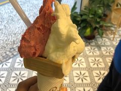 -柠檬车露(卖草地店)