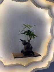 -梵茜儿·头道汤养生馆