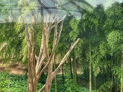 -南京珍珠泉风景区