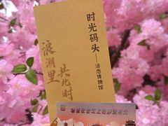 -武汉知音号