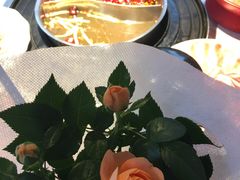 -二荆条·蜀鲜汇城市森林火锅