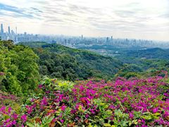 -广州市白云山风景名胜区