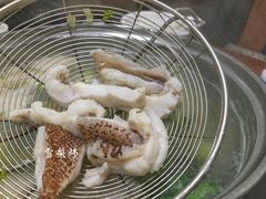 -金砂阿洲鱼册店