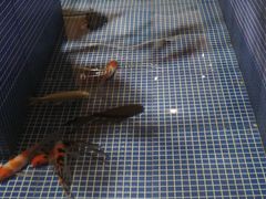 -钓鱼岛洗浴休闲会馆(卫星路店)