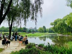 -望湖公园