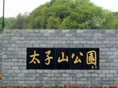 -太子山公园(园东路)