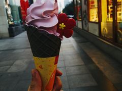 -麦当劳(石家庄北国店)