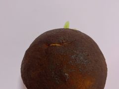 -原麦山丘(世纪金源店)