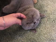 -壹人壹像工作室(购物公园店)