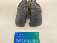 -生命奥秘博物馆