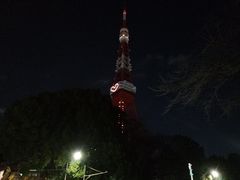 -东京塔海贼王主题公园
