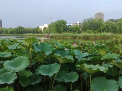 -西海子公园