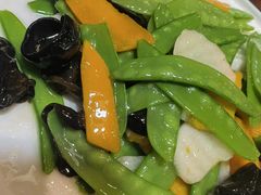 健康小炒-邵年鸽(杨庄店)
