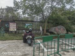 -泗洪洪泽湖湿地景区