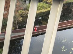 -福道