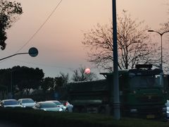 -华东政法大学(松江校区)