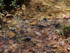 -飞霞风景名胜区