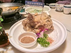 -唐猫庭院·千年陕菜(大唐不夜城店)