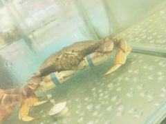 -兄弟爬爬虾(北京路店)