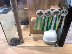 -藏猫猫咖啡主题馆(中央大道店)