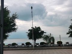 -野菌皇海景野生菌火锅(滨海大道店)