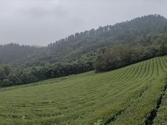 -敬亭山风景名胜区