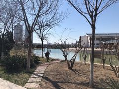 -绿岛公园(滨海新区)