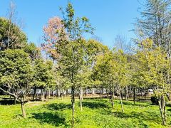 -上海佘山国家森林公园天马山园