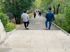 -神光山国家森林公园