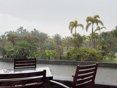 -厦门悦华酒店·绿庭主题自助餐厅