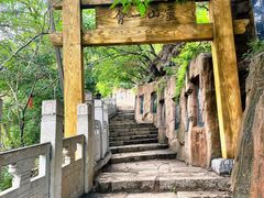 -高尔山公园