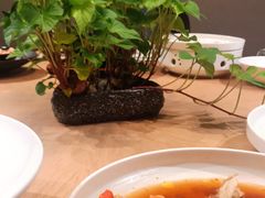 -木守西溪溪隐餐厅