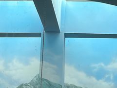 -武汉动物园