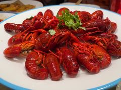 -杨氏青龙虾·羊蝎子(珠江路店)