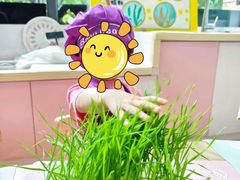 -豆初托育园 Baby Bean Day care Center