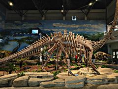 -自贡恐龙博物馆