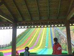 -梦幻奥陶纪景区