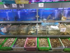 水产区-听海潮渔家酒楼(大沙湾店)