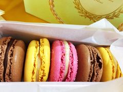 -Pierre Marcolini(德基广场店)