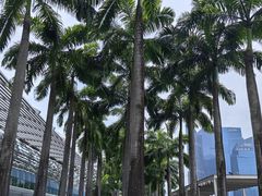 -滨海湾金沙购物商场