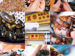 -莫华(锦绣趣园北街店)