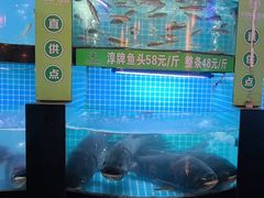 -千岛湖小鱼儿·淳安匠心农家菜