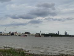 -上海滨江森林公园