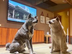 -大江户·温泉洗浴(浑南店)