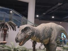 -辽宁古生物博物馆