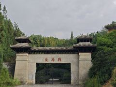 -彩色沙林风景区