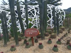 -亚龙湾国际玫瑰谷