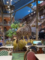 -卡通尼·Safari非洲探索乐园·生日会(金桥国际商业广场店)