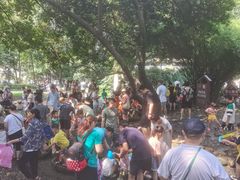 -成都市活水公园