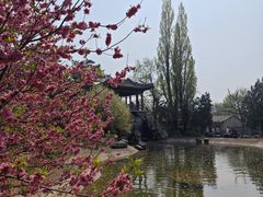 -国家植物园南园